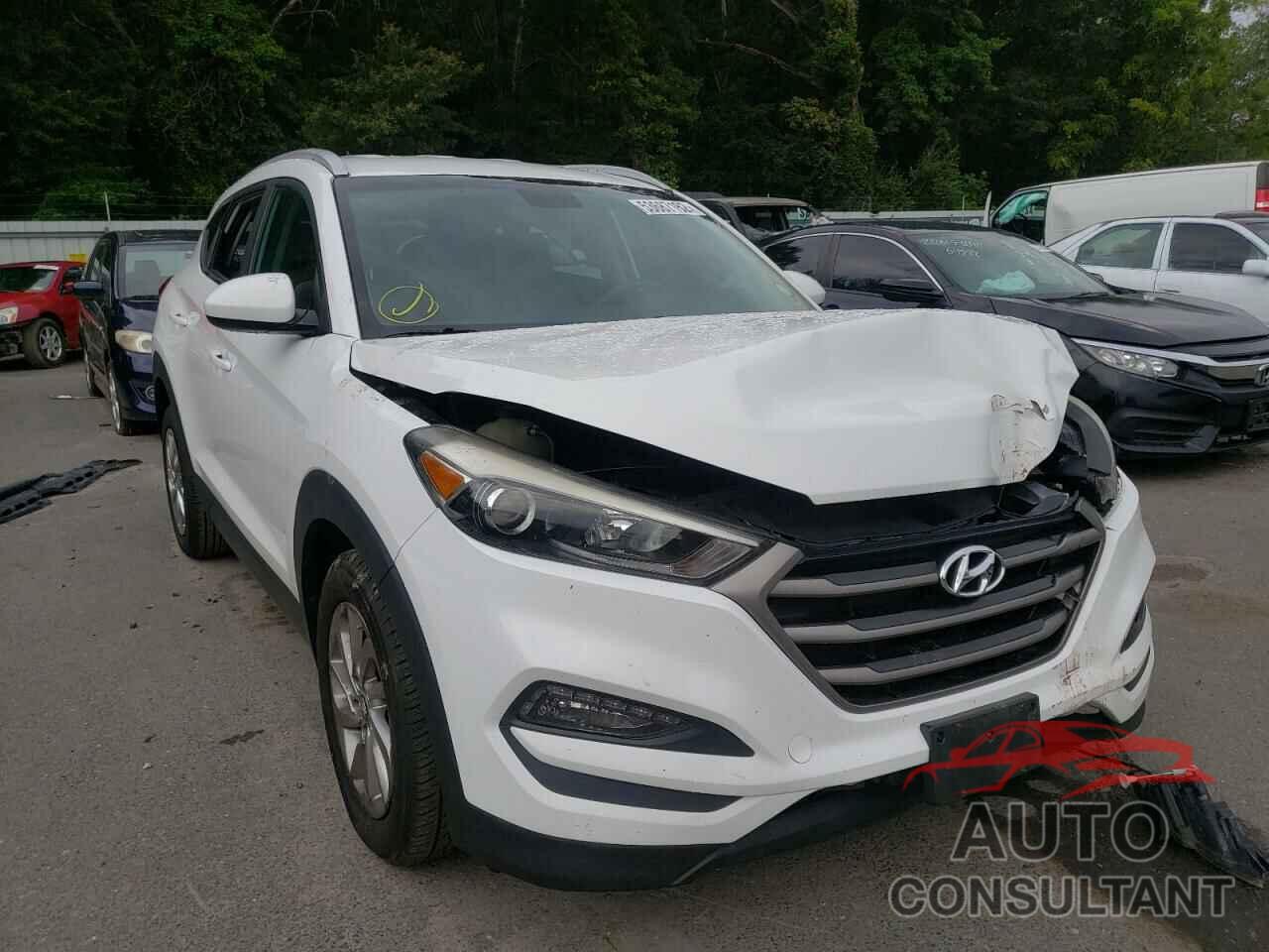 HYUNDAI TUCSON 2016 - KM8J33A45GU091439