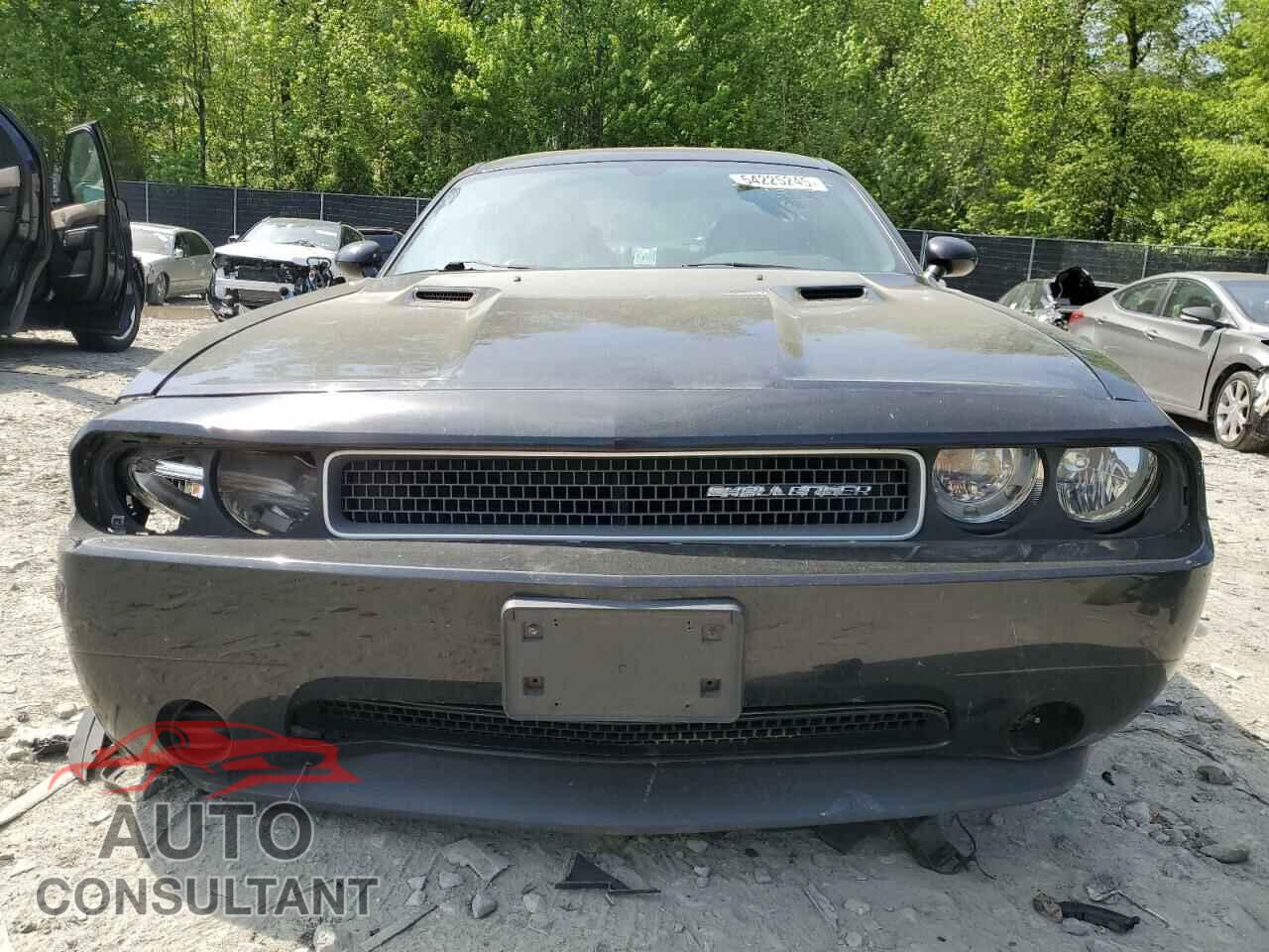 DODGE CHALLENGER 2014 - 2C3CDYAG9EH302843