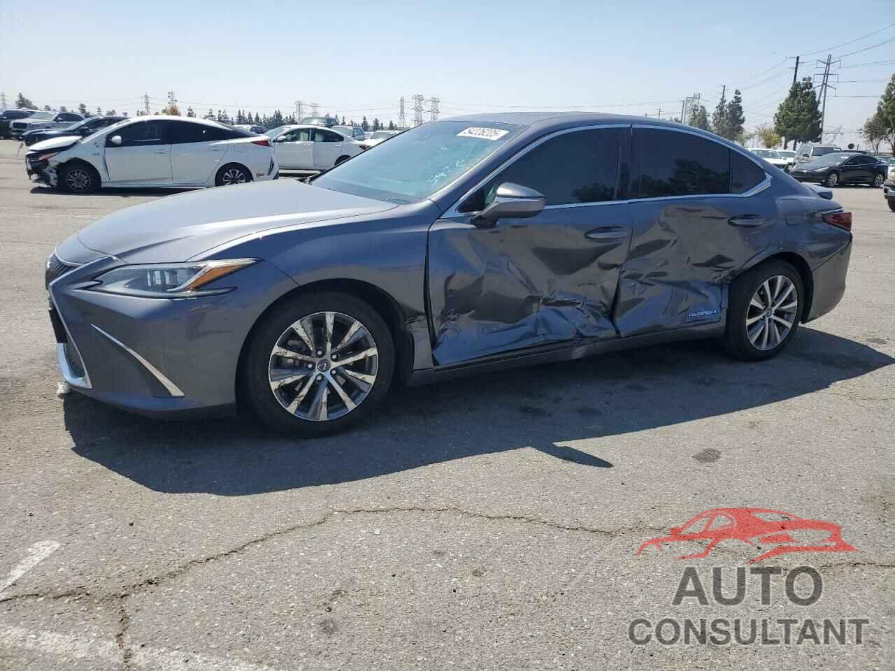 LEXUS ES300 2020 - 58AC21B12LU006208