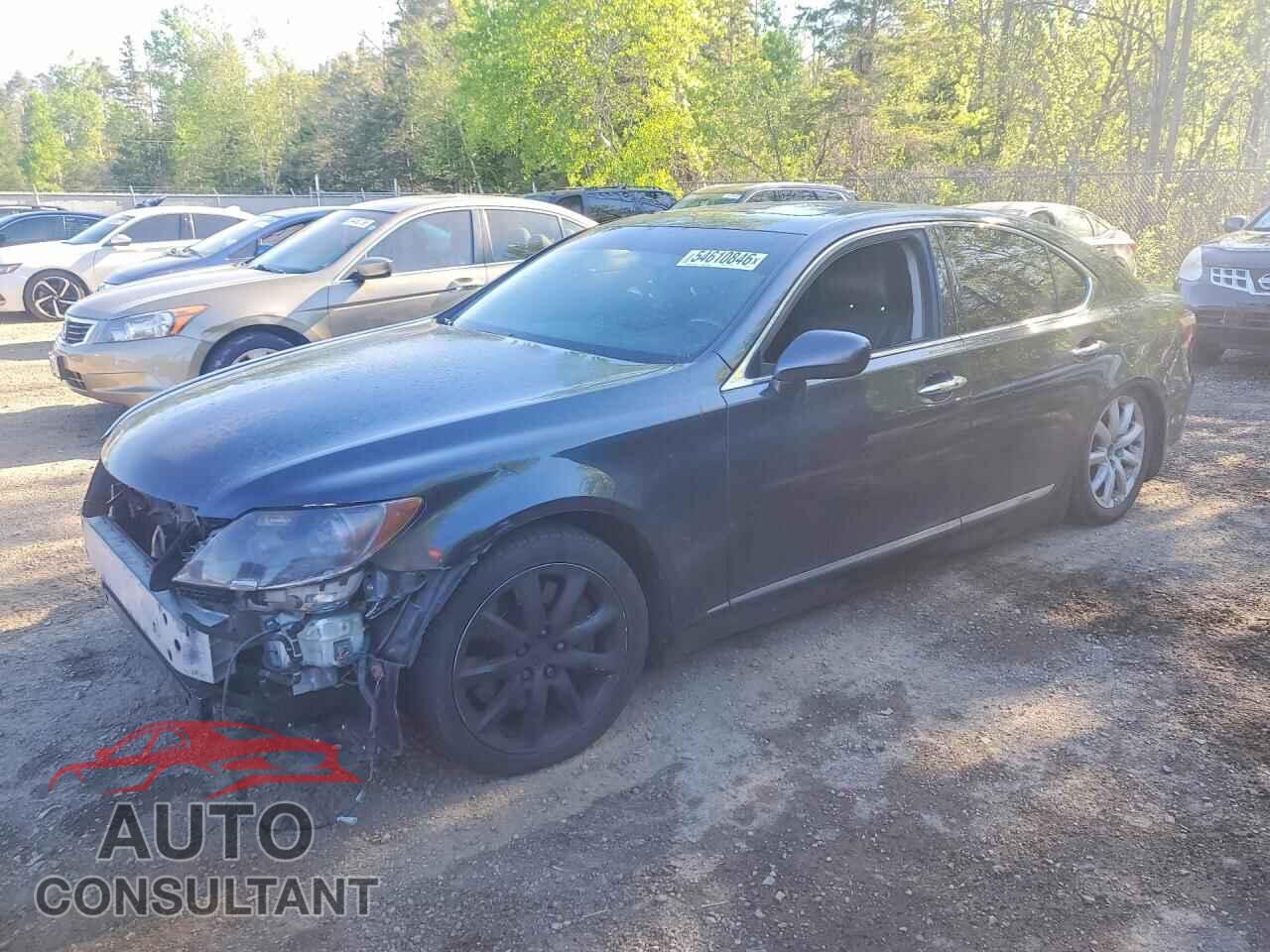 LEXUS LS460 2009 - JTHCL46F995000357