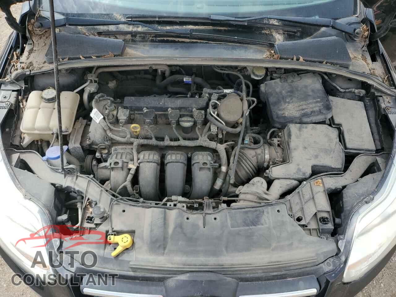 FORD FOCUS 2012 - 1FAHP3K22CL396858