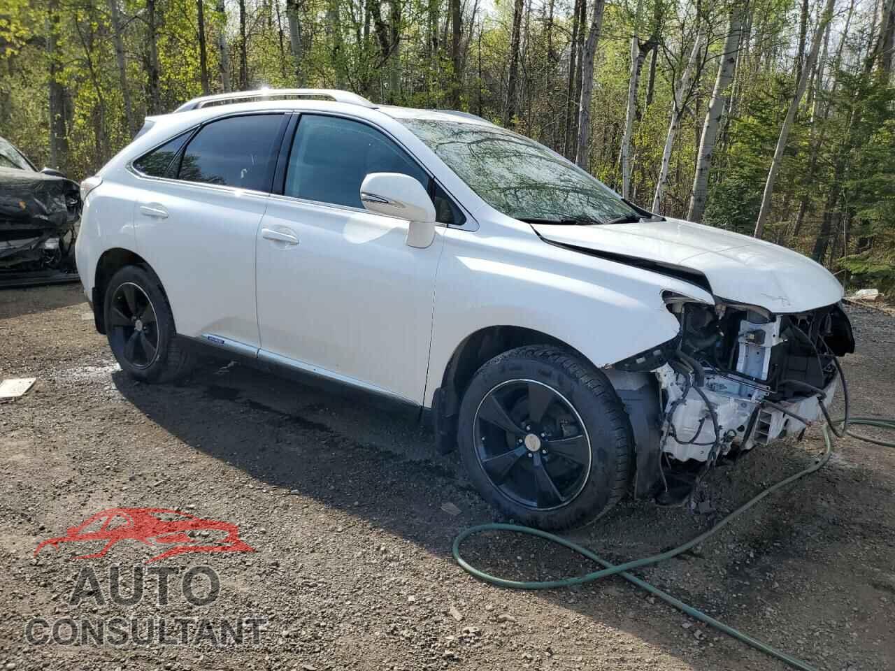 LEXUS RX450 2011 - JTJBC1BA0B2417828