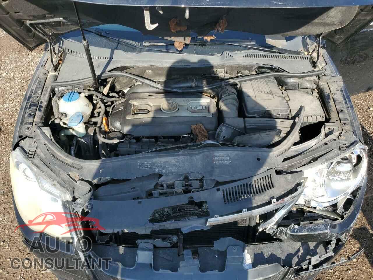 VOLKSWAGEN EOS 2009 - WVWFA71F49V012641