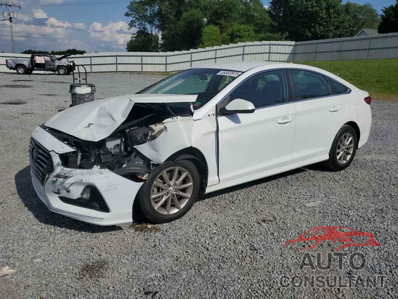 HYUNDAI SONATA 2019 - 5NPE24AF7KH741620