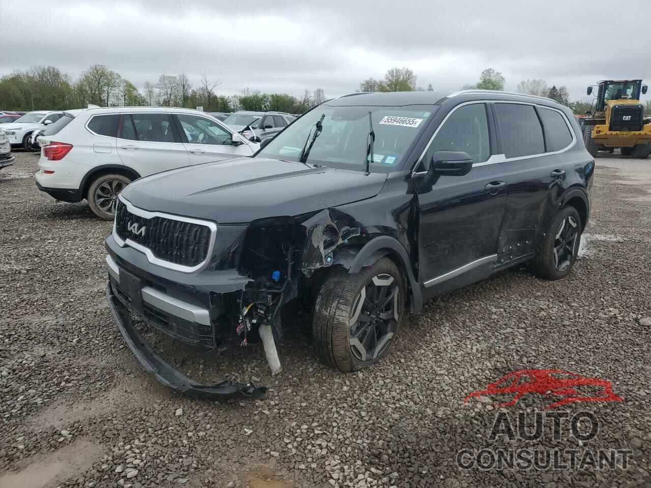 KIA TELLURIDE 2024 - 5XYP3DGC2RG442606