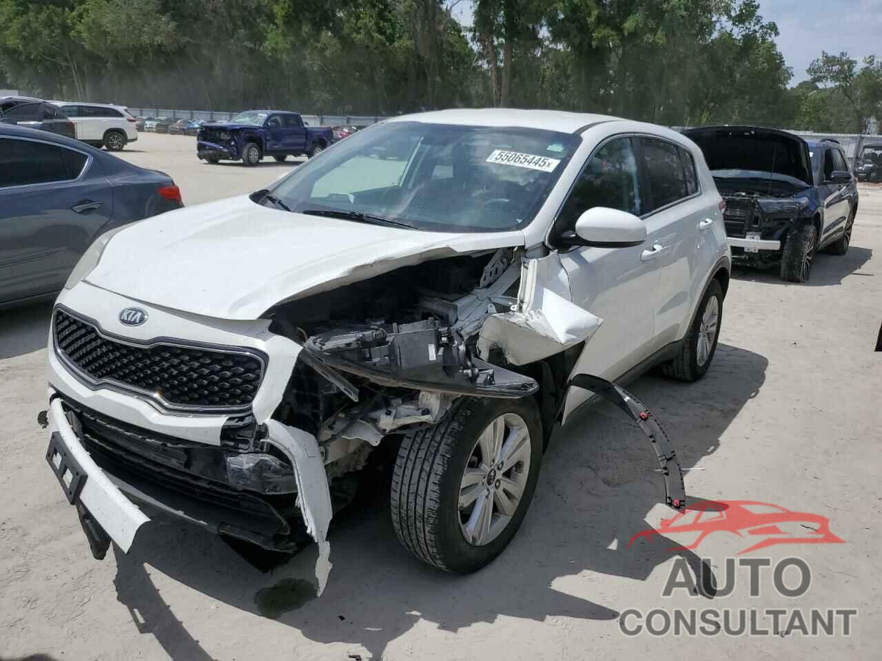 KIA SPORTAGE 2019 - KNDPM3AC5K7513140