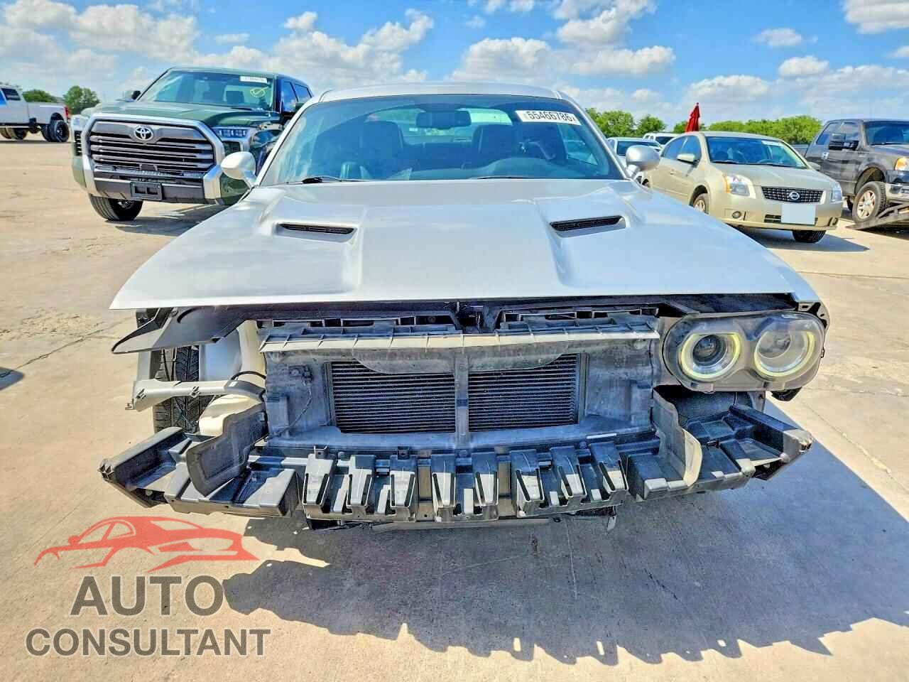 DODGE CHALLENGER 2019 - 2C3CDZAG9KH625064