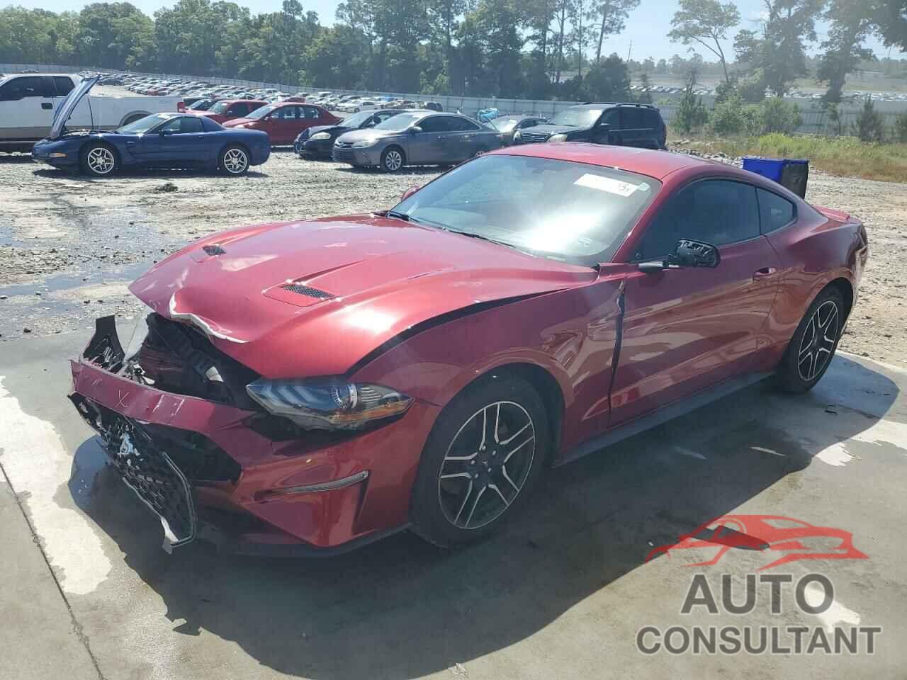 FORD ALL Models 2019 - 1FA6P8TH5K5187303