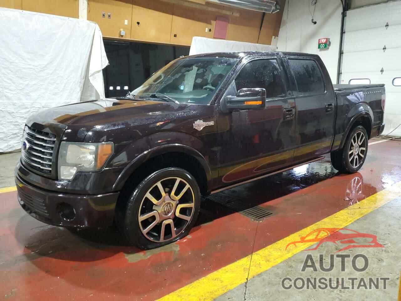 FORD F-150 2010 - 1FTEW1CV3AFA48561