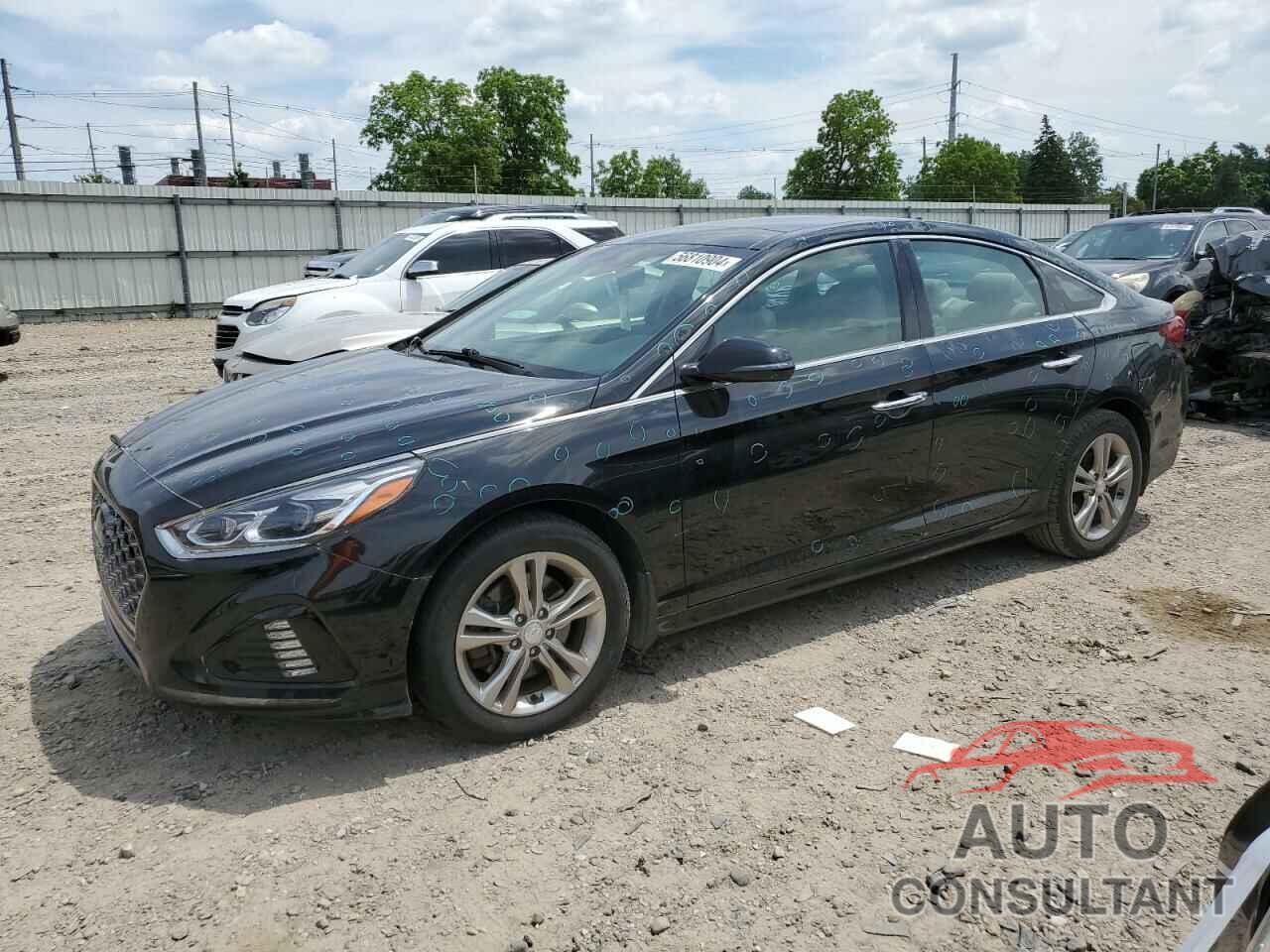 HYUNDAI SONATA 2019 - 5NPE34AFXKH729927
