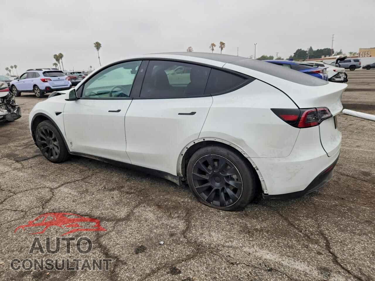 TESLA MODEL Y 2024 - 7SAYGDED5RF018531