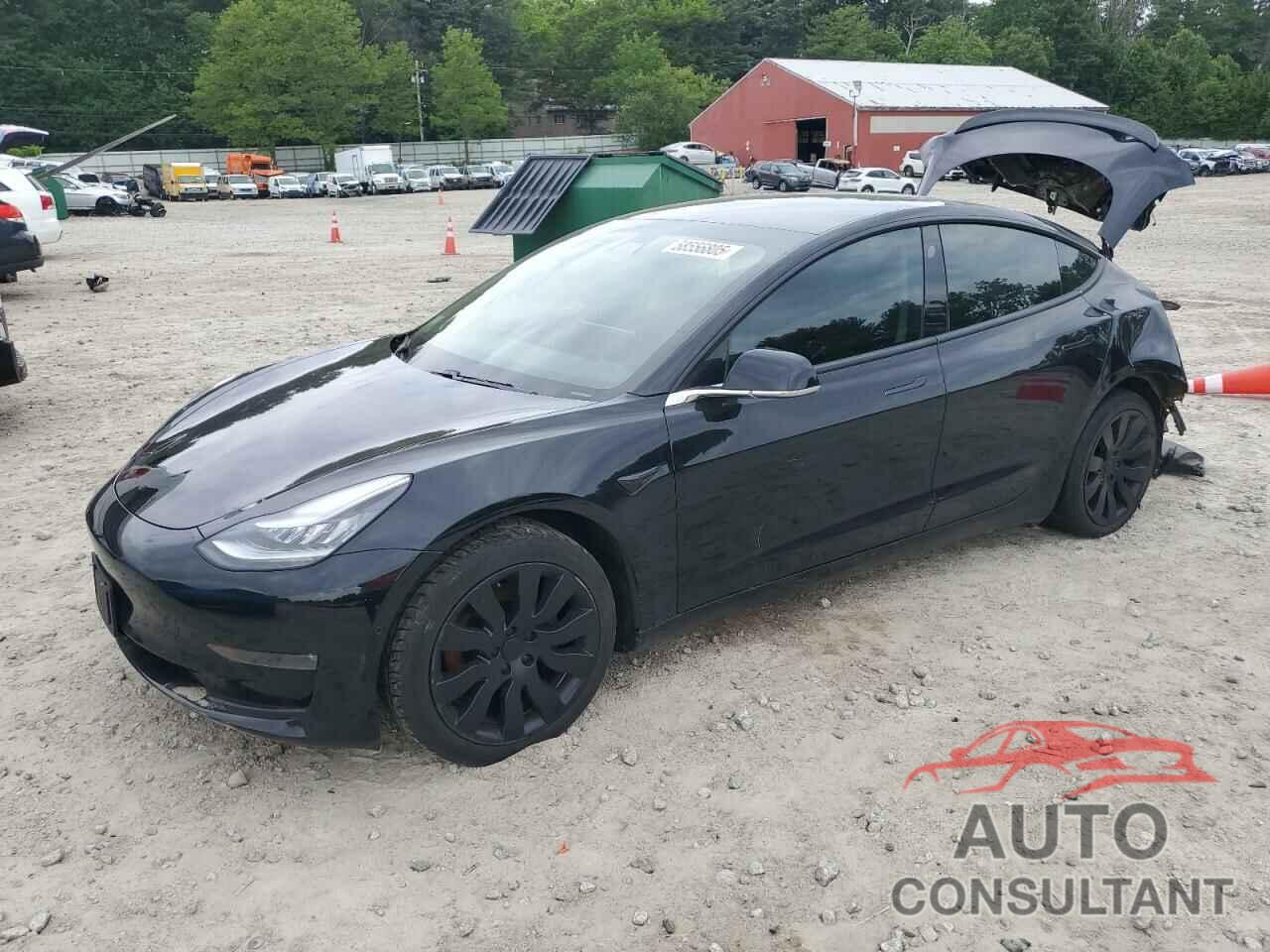 TESLA MODEL 3 2019 - 5YJ3E1EA5KF305861