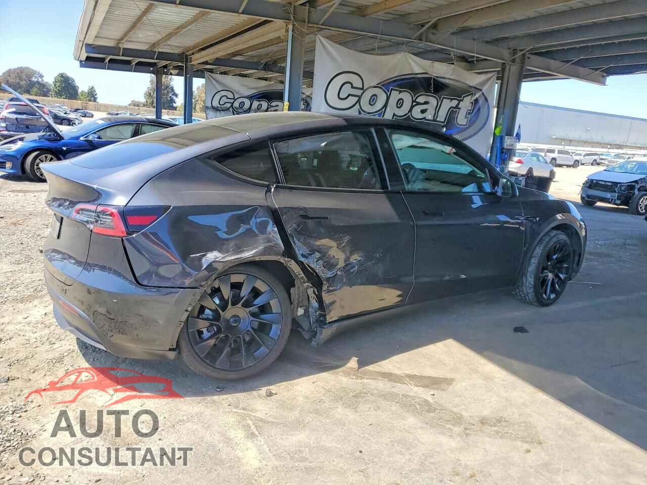 TESLA MODEL Y 2024 - 7SAYGDEDXRF057938