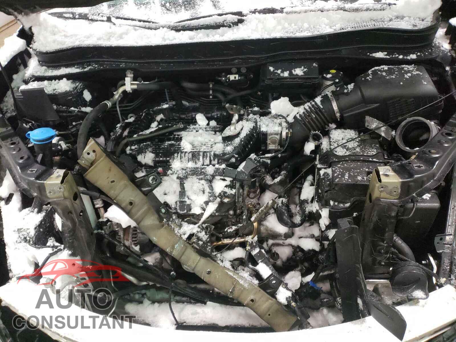 HONDA RIDGELINE 2019 - 5FPYK3F7XKB005513