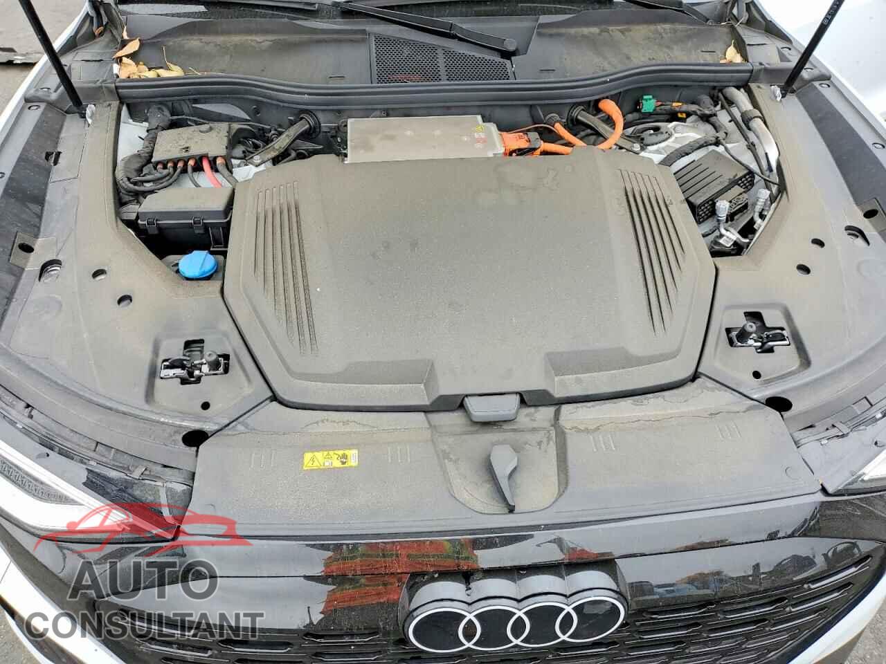AUDI ALL OTHER 2024 - WA1BCBGE3RB045510