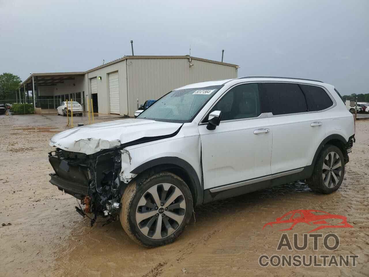 KIA TELLURIDE 2020 - 5XYP64HC6LG086156