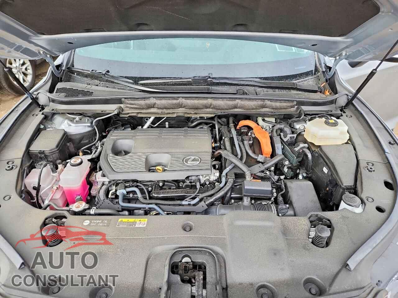 LEXUS UNKNOWN 2024 - 2T2BBMCA5RC059669