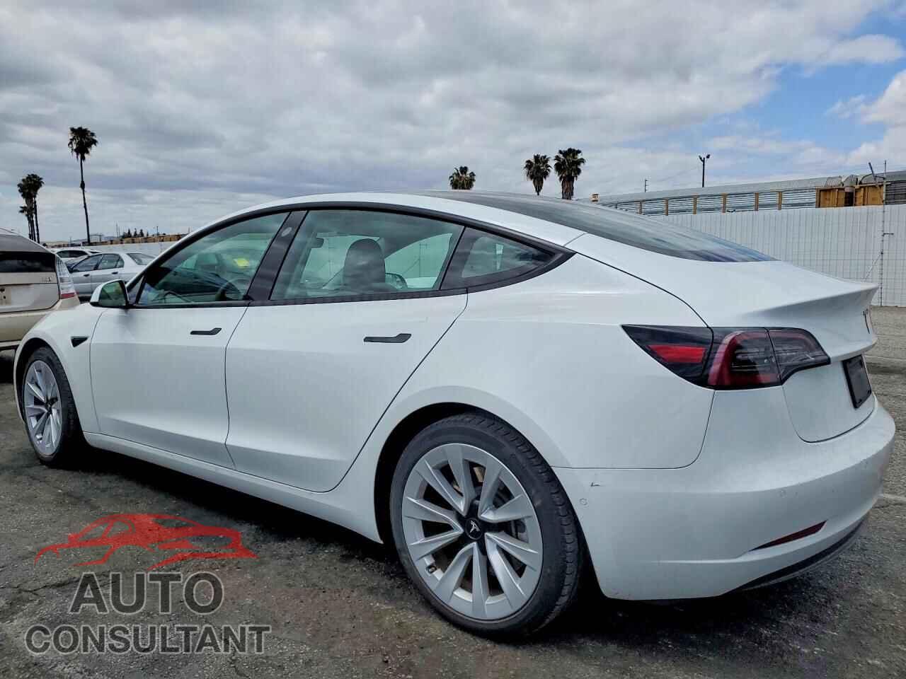 TESLA MODEL 3 2021 - 5YJ3E1EA2MF031909