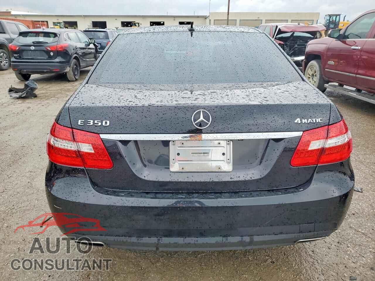 MERCEDES-BENZ E-CLASS 2010 - WDDHF8HB2AA192576