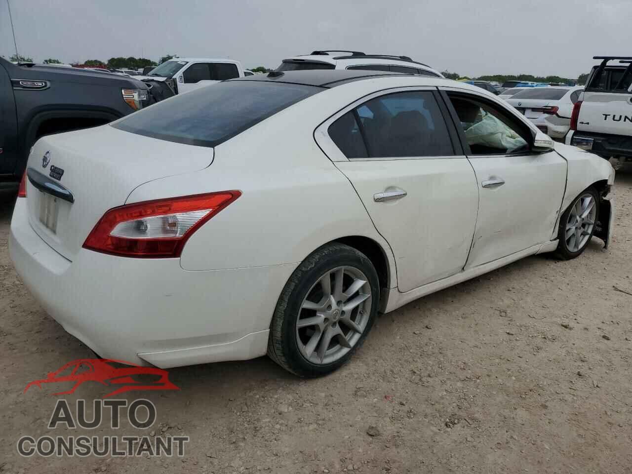 NISSAN MAXIMA 2011 - 1N4AA5AP8BC831795