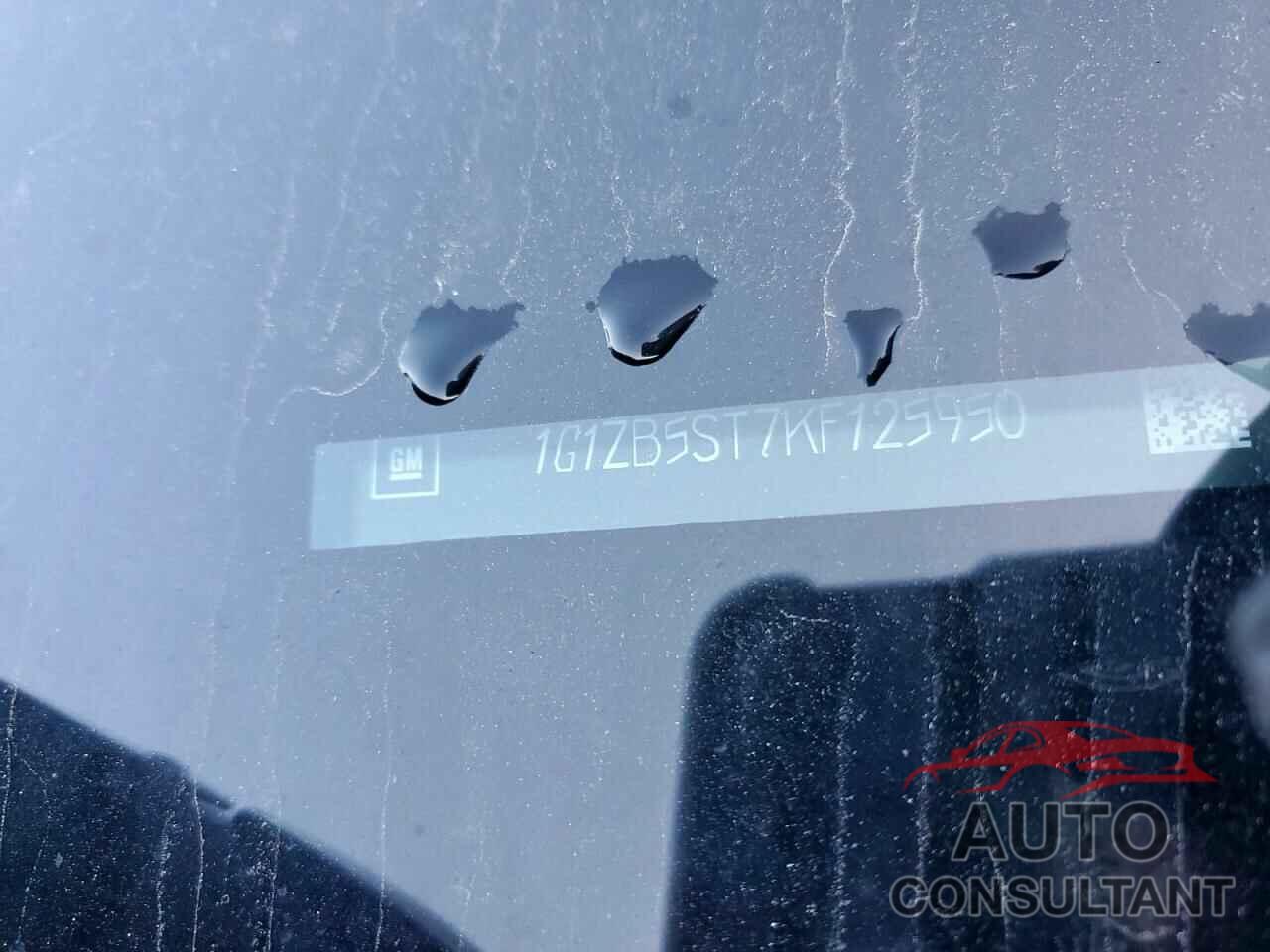 CHEVROLET MALIBU 2019 - 1G1ZB5ST7KF125950
