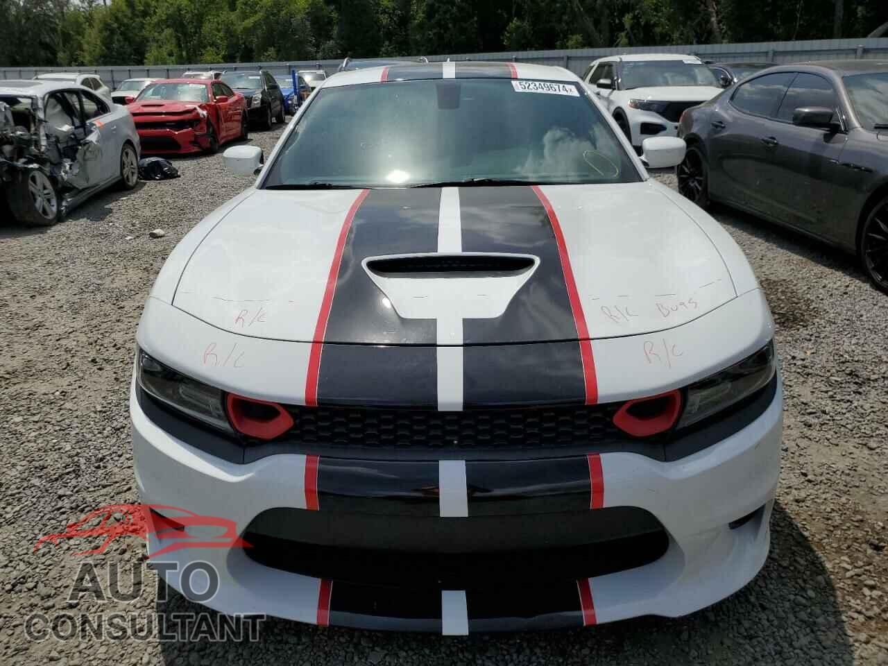 DODGE CHARGER 2019 - 2C3CDXGJ7KH746277