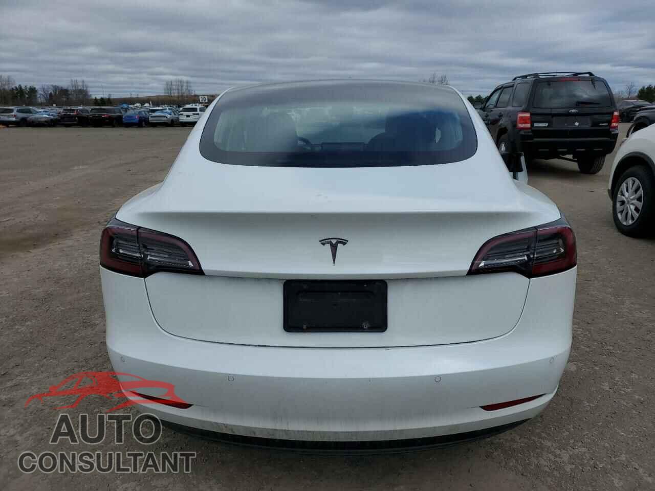 TESLA MODEL 3 2019 - 5YJ3E1EA9KF464589