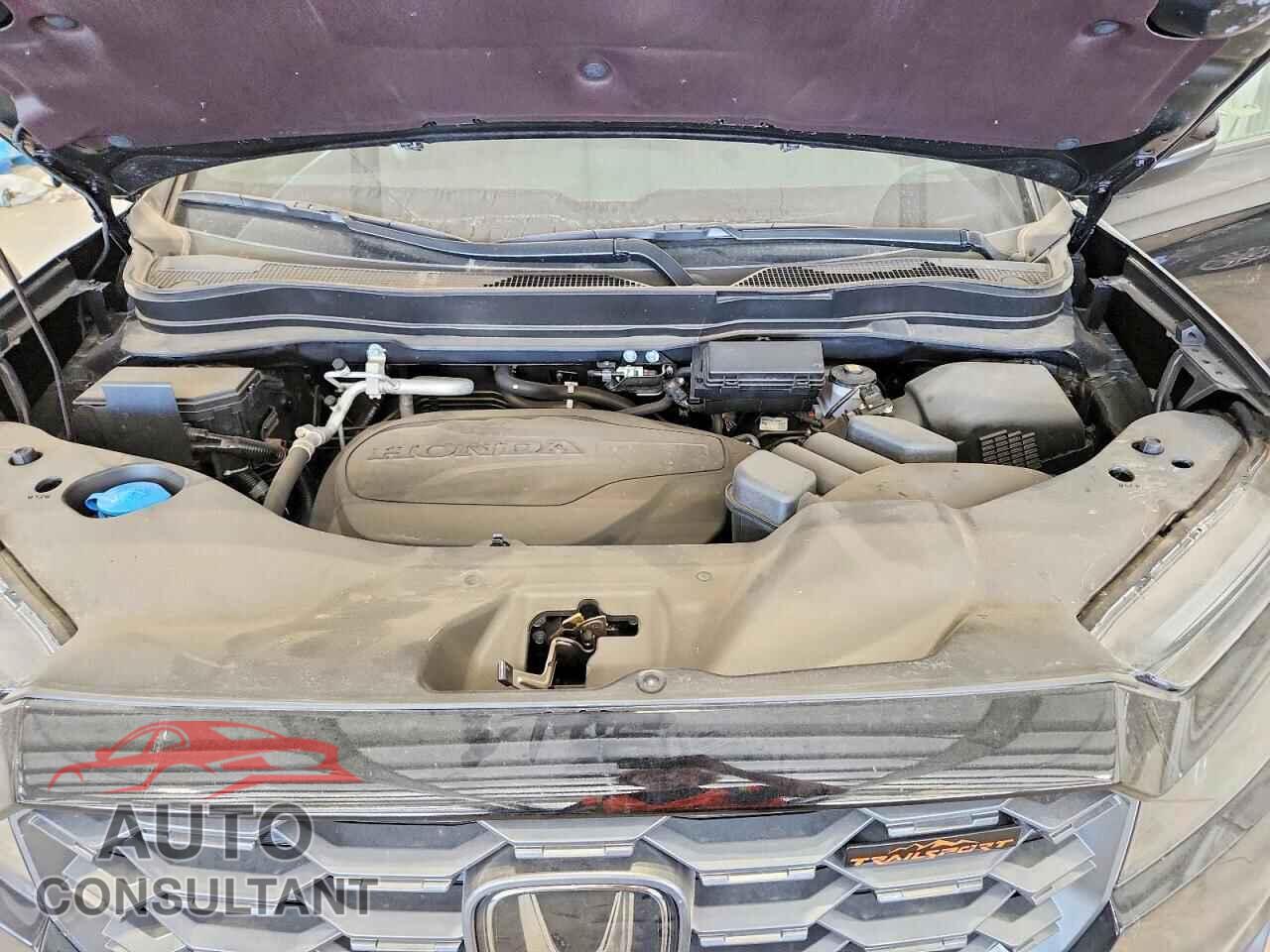 HONDA RIDGELINE 2025 - 5FPYK3F64SB024193