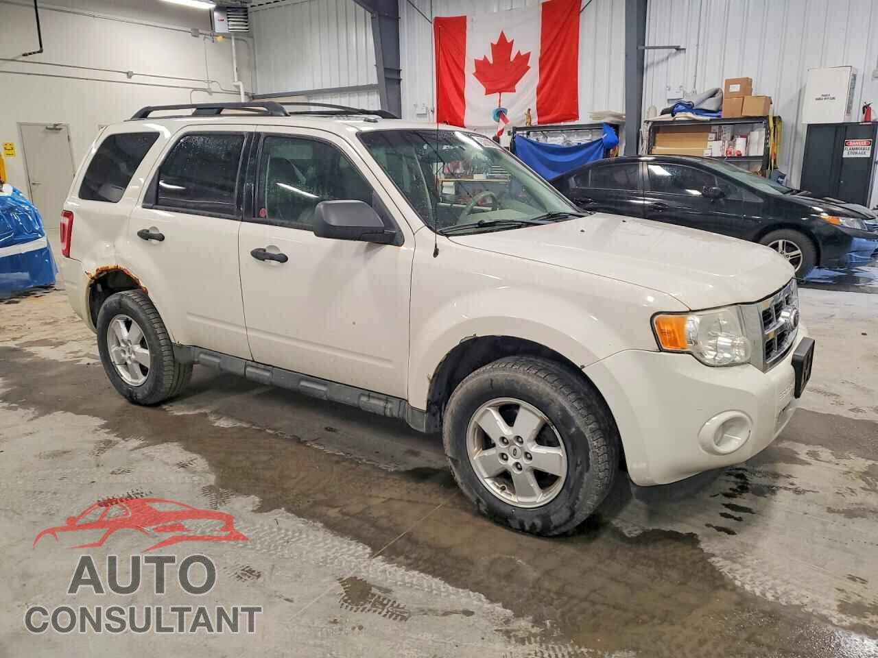 FORD ESCAPE 2010 - 1FMCU0D74AKA84396