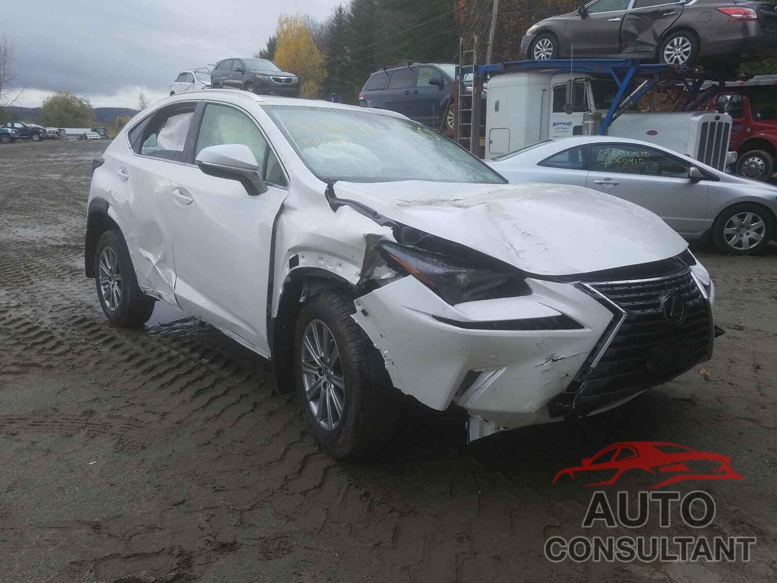 LEXUS NX 2020 - JTJDARDZ0L5011936