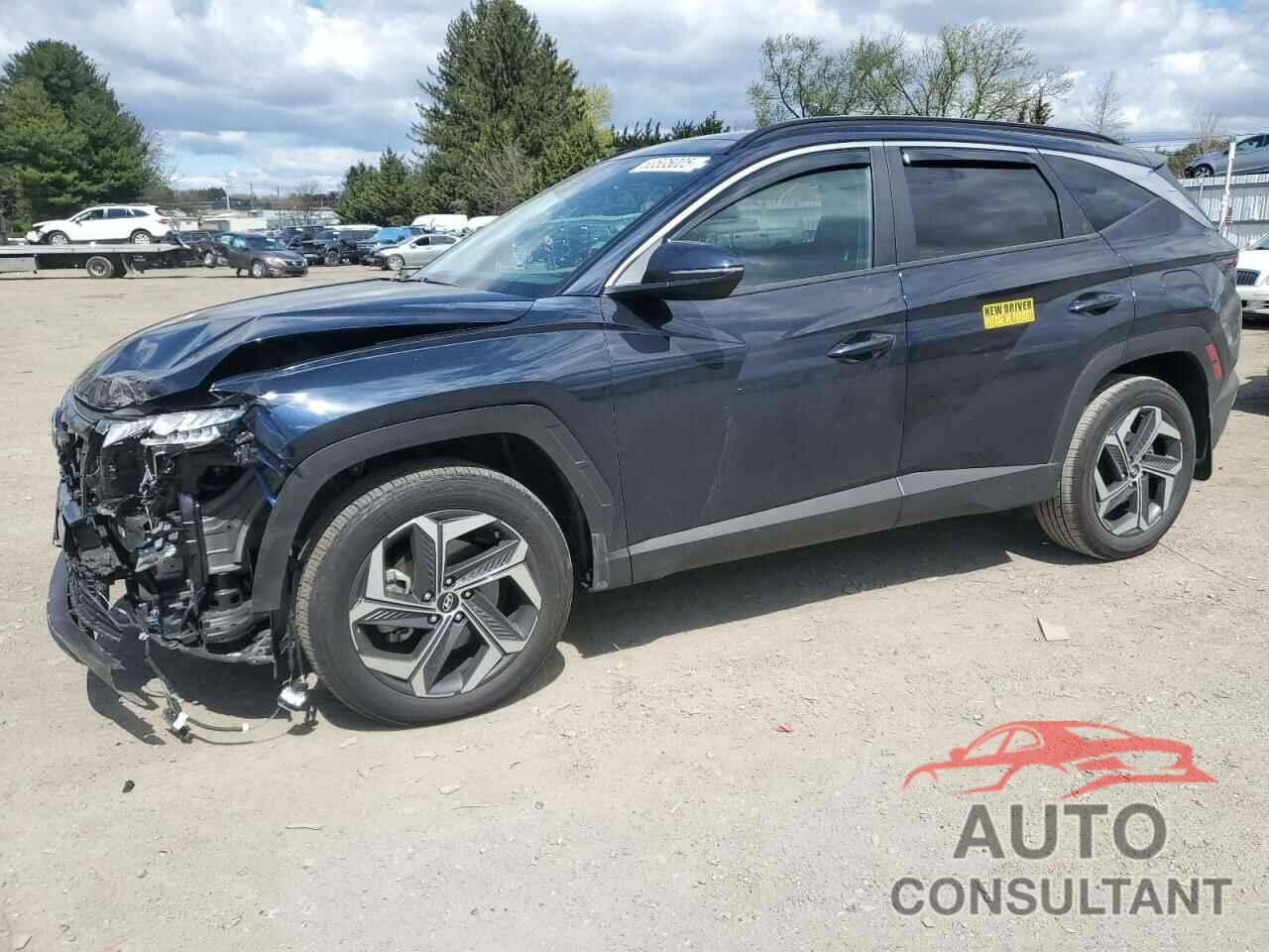 HYUNDAI TUCSON 2023 - KM8JFCA10PU111982