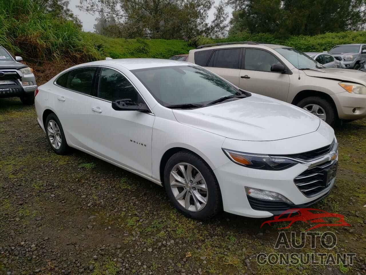 CHEVROLET MALIBU 2020 - 1G1ZD5ST7LF036567