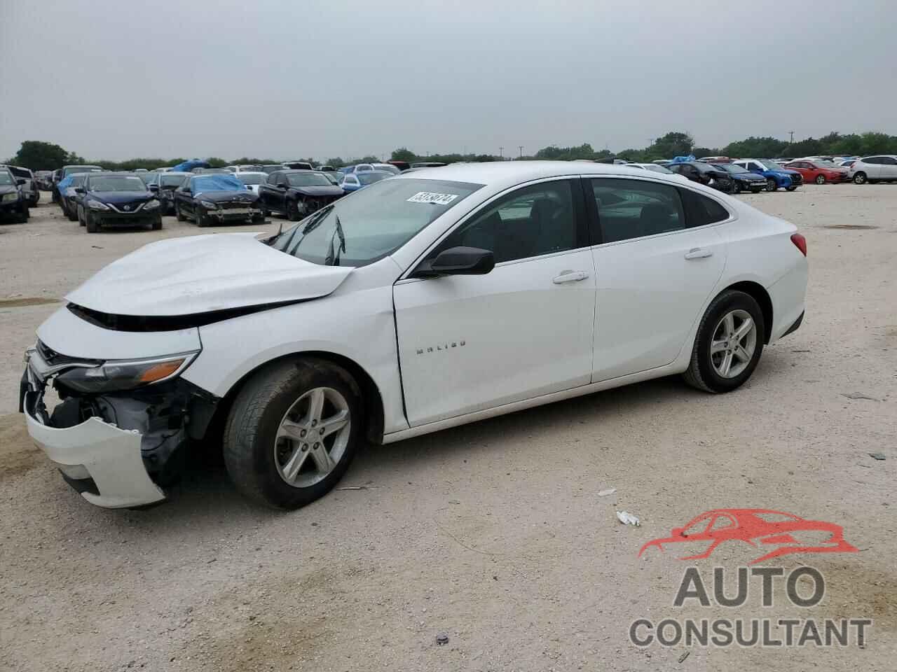 CHEVROLET MALIBU 2019 - 1G1ZB5ST6KF216028