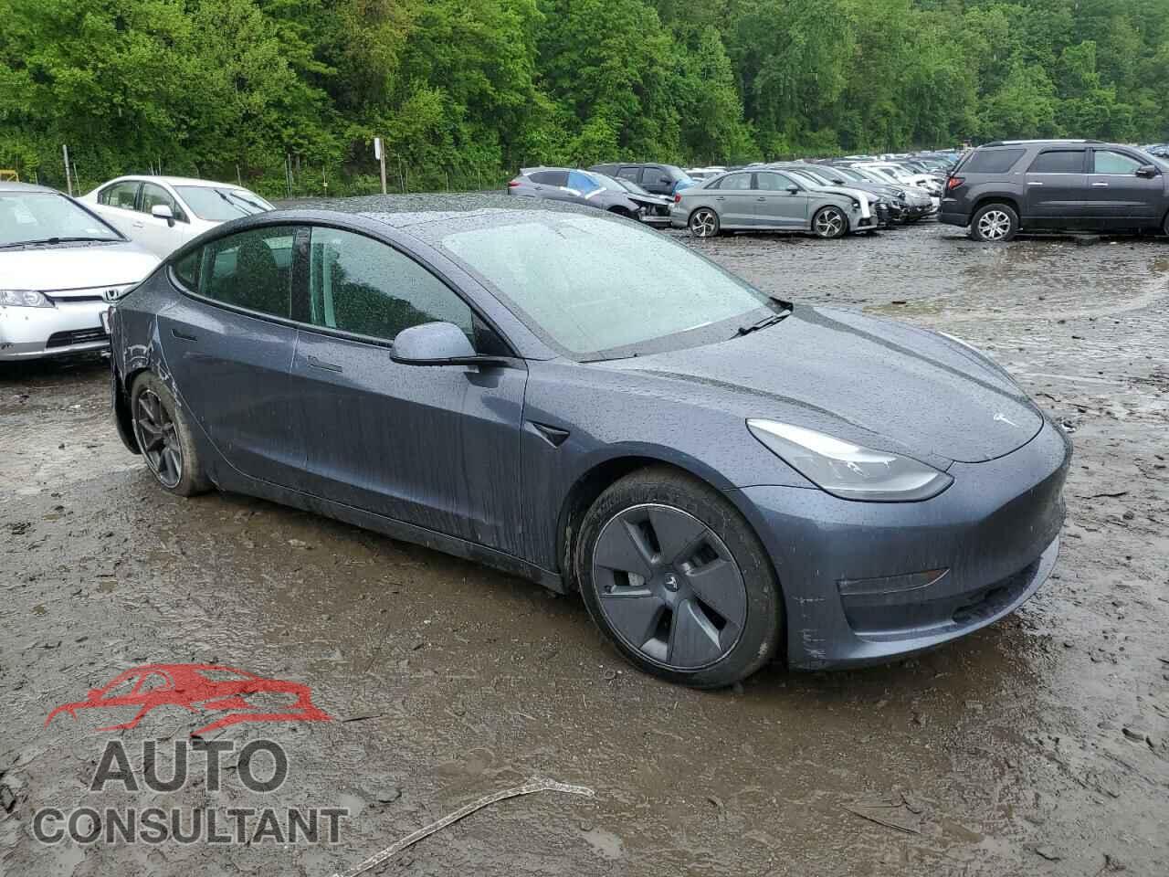 TESLA MODEL 3 2021 - 5YJ3E1EB9MF019636