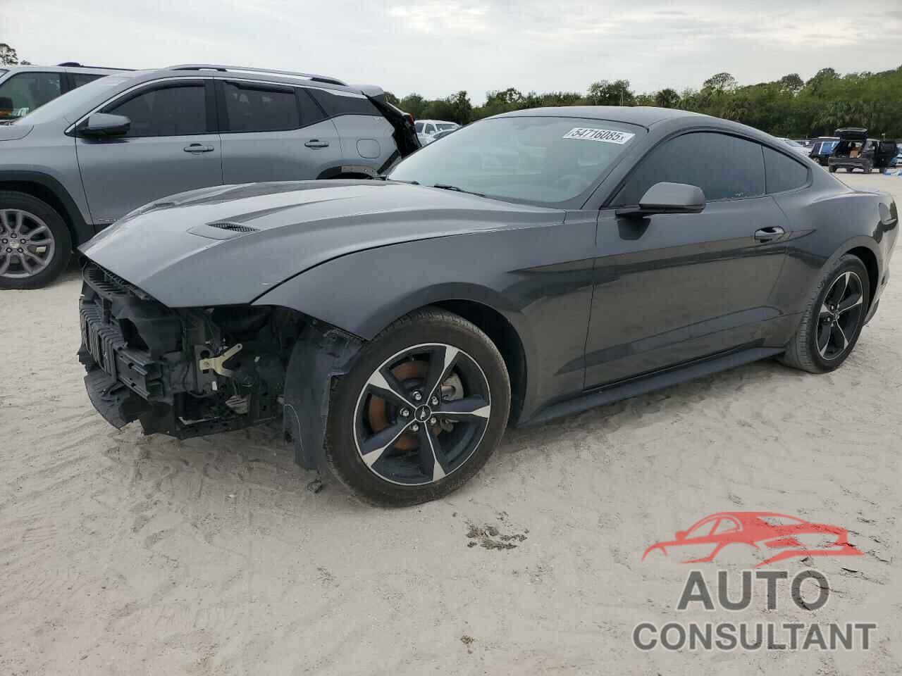 FORD ALL Models 2019 - 1FA6P8TH9K5187501