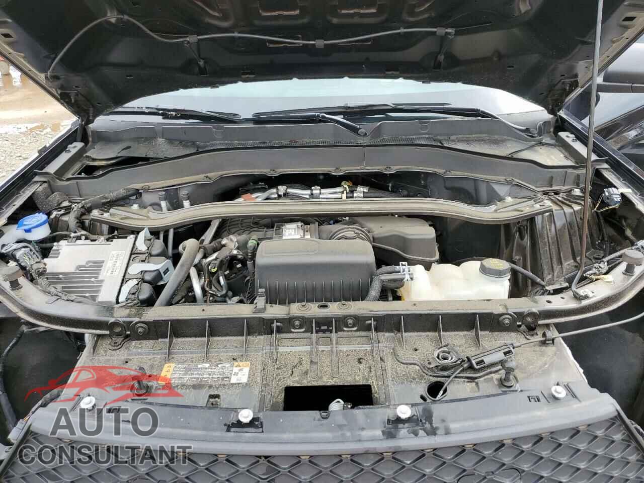 FORD EXPLORER 2023 - 1FM5K8AB2PGC00857