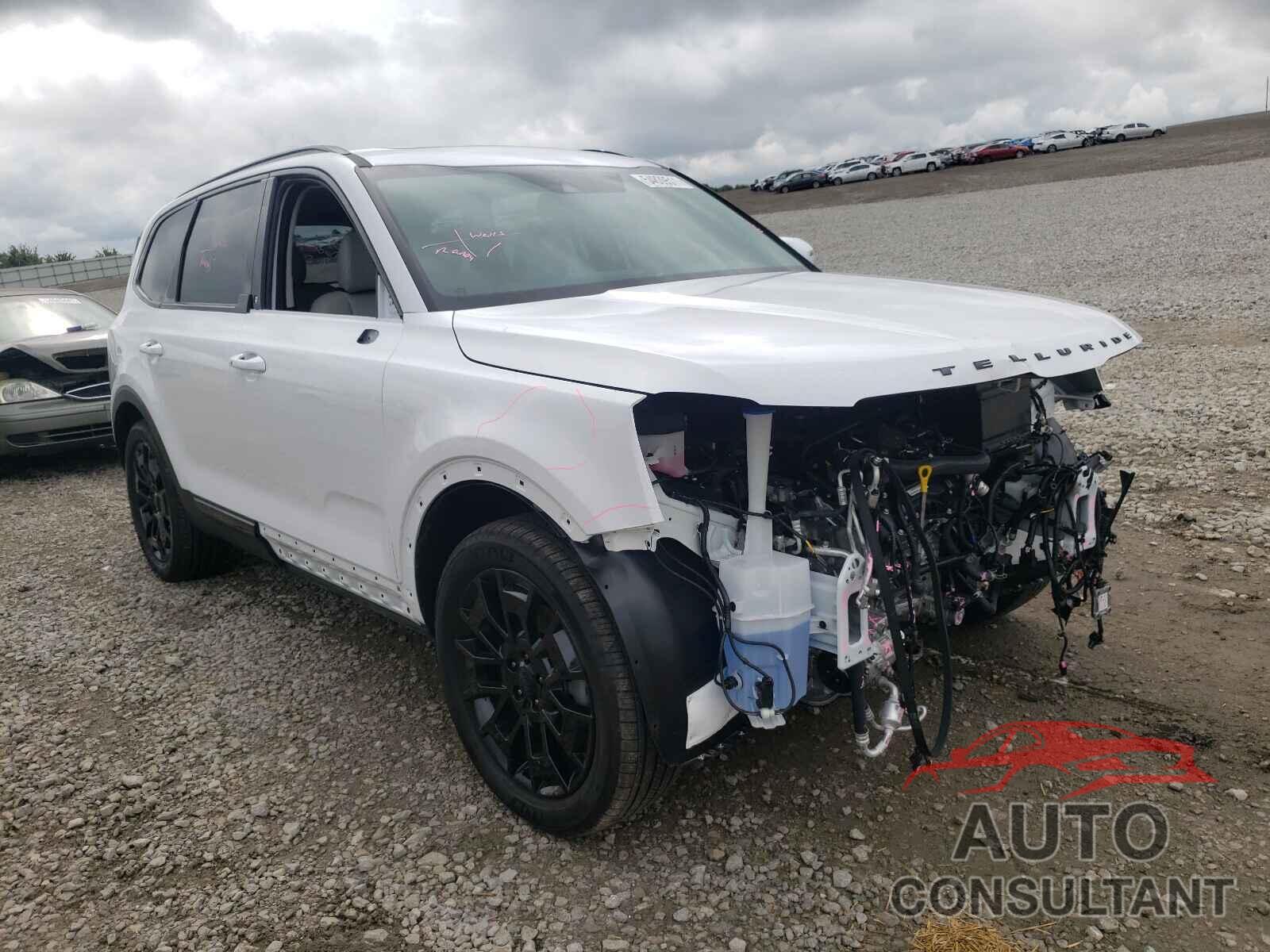 KIA TELLURIDE 2021 - 5XYP3DHCXMG181958