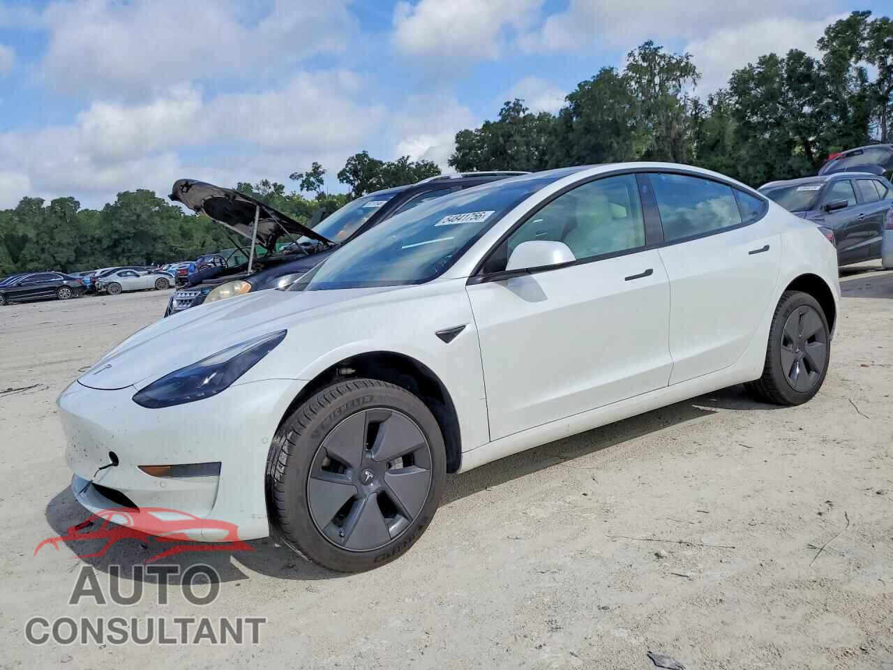 TESLA MODEL 3 2021 - 5YJ3E1EA1MF920538