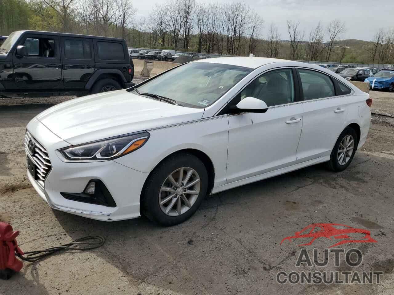 HYUNDAI SONATA 2019 - 5NPE24AF0KH770134
