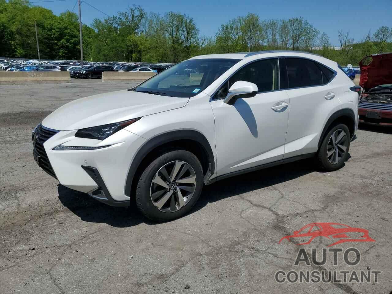 LEXUS NX 2019 - JTJBARBZ0K2206672