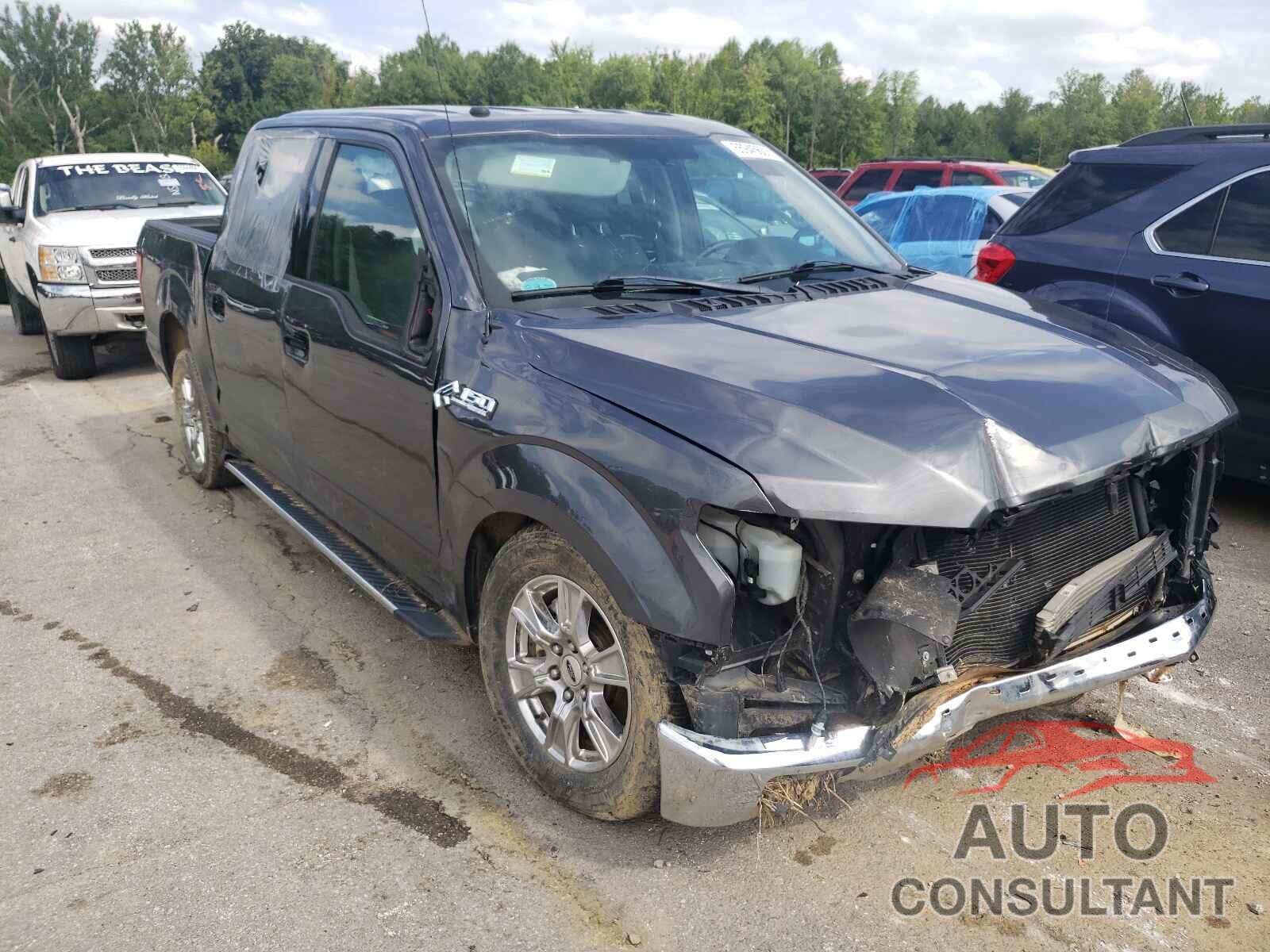 FORD F-150 2017 - 1FTEW1CF9HFC77202