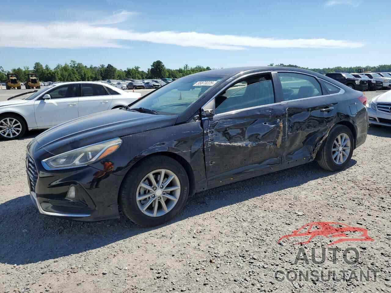 HYUNDAI SONATA 2019 - 5NPE24AF5KH746055