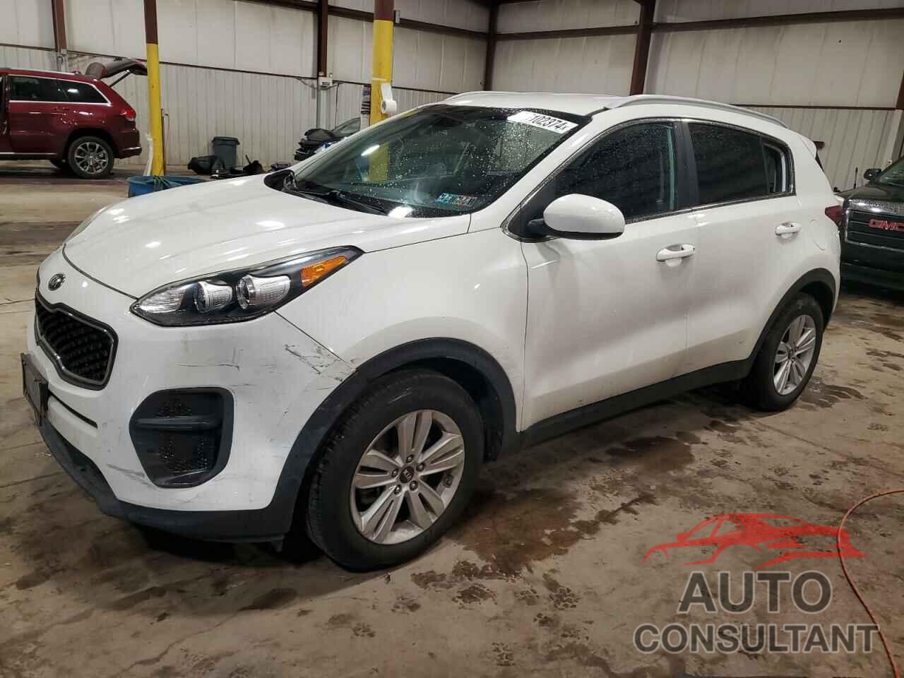 KIA SPORTAGE 2017 - KNDPM3AC1H7036246