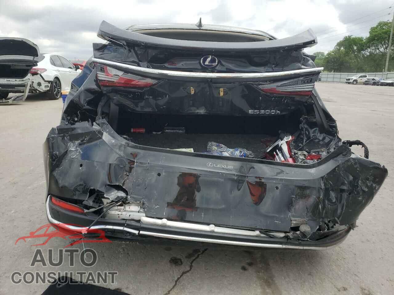 LEXUS ES300 2019 - JTHB21B10K2038509