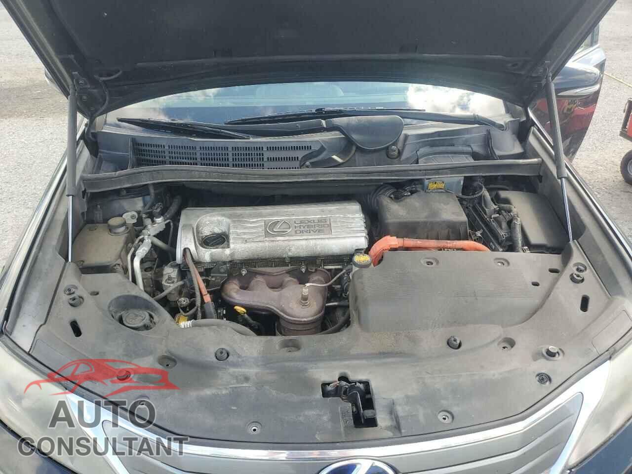 LEXUS HS 2010 - JTHBB1BA1A2037173