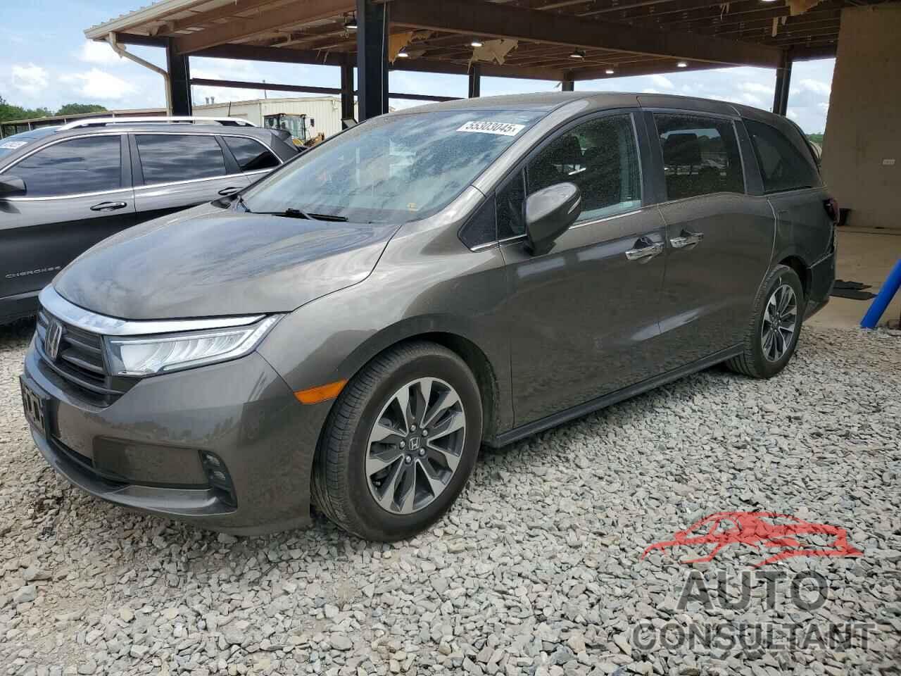 HONDA All Models 2022 - 5FNRL6H77NB052222