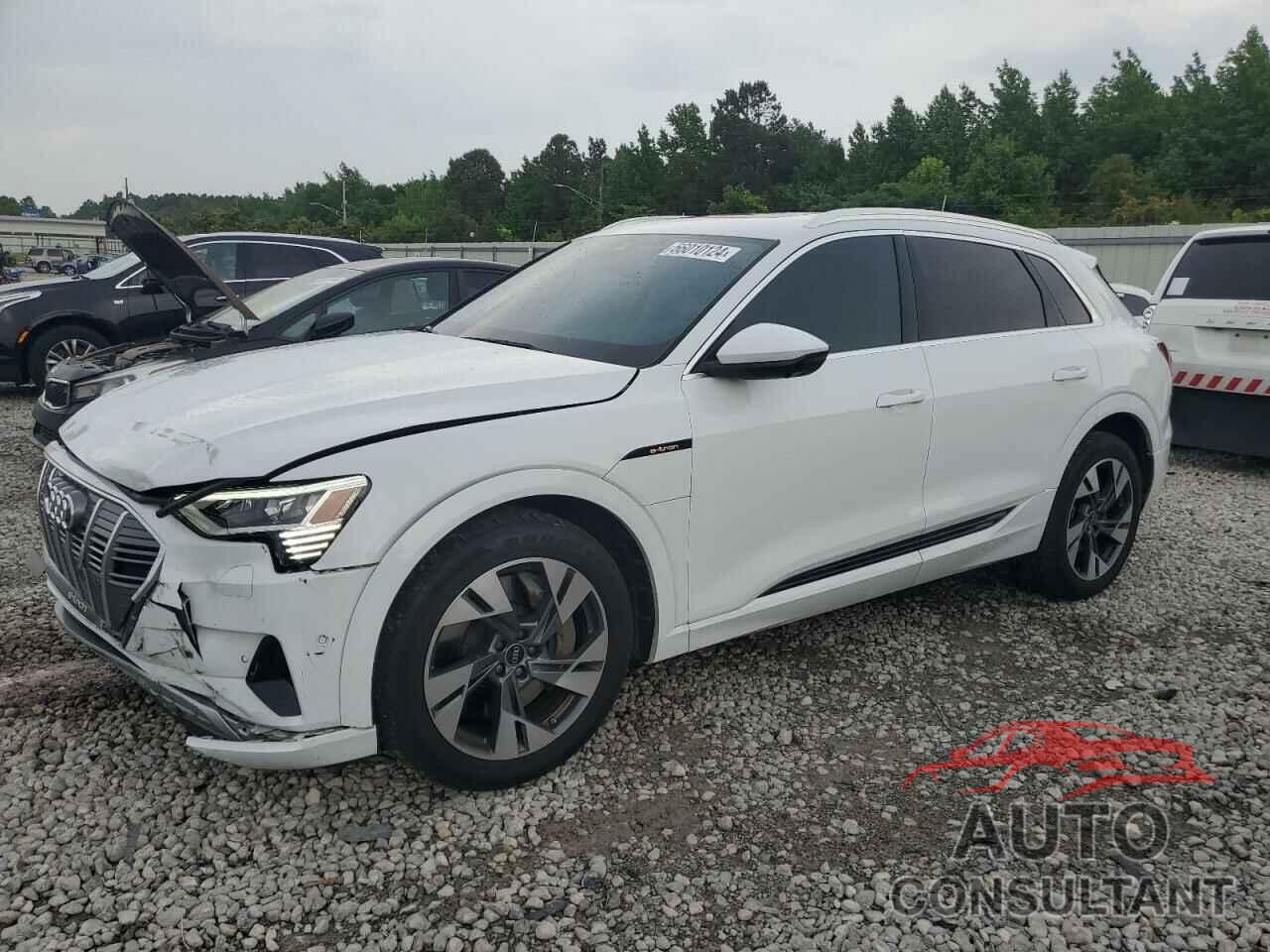 AUDI E-TRON 2022 - WA1LAAGE4NB034160