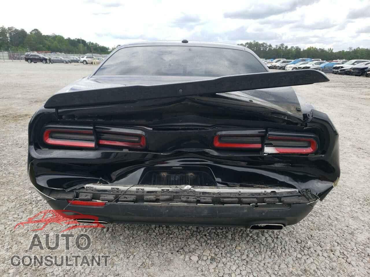 DODGE CHALLENGER 2019 - 2C3CDZAG3KH733406