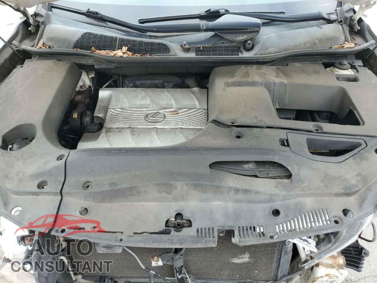 LEXUS RX350 2011 - 2T2BK1BA1BC086776