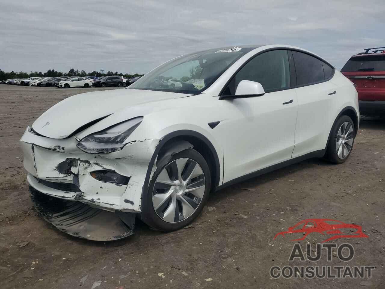 TESLA MODEL Y 2021 - 5YJYGDEE3MF248034